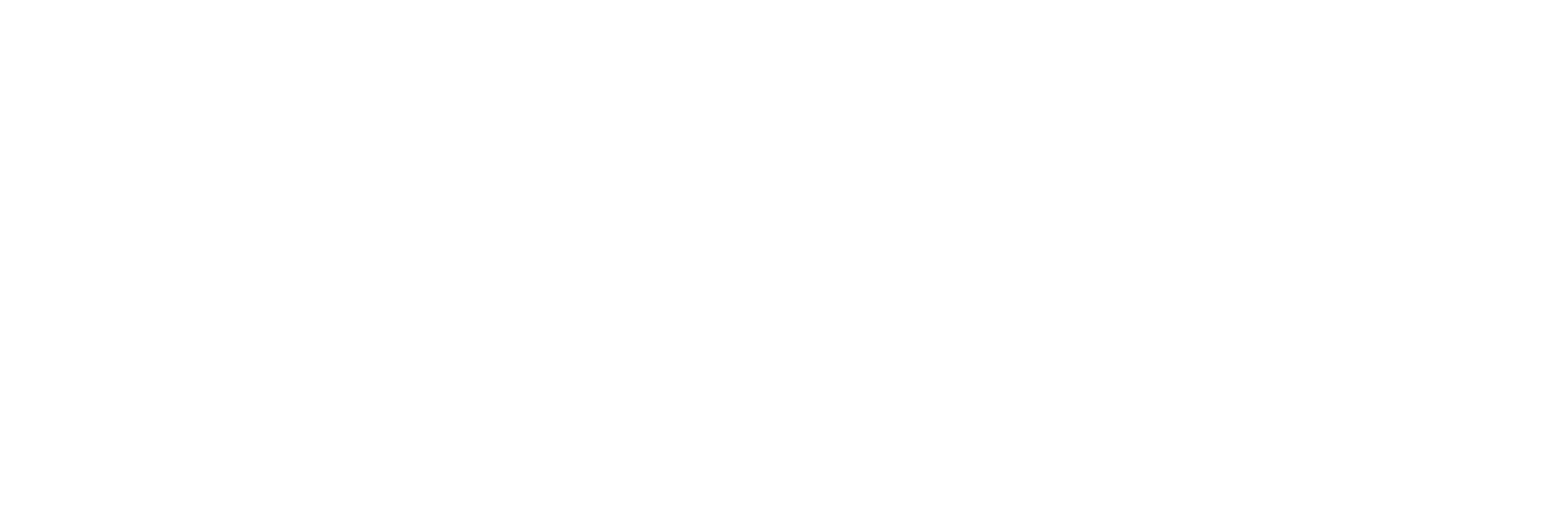 TNT Logistics